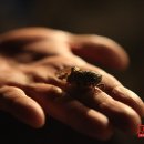 토함산자연휴양림 이미지