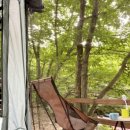 대운산 자연휴양림 캠핑장 이미지