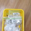 행정사작은행복 이미지