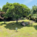 신효동-7 이미지