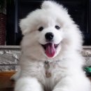 21세기 세탁 이미지