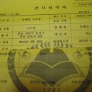 죽매실고추장