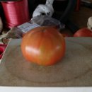 형제농장 3 이미지