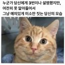 엔터PC방 | 이번 달도 자퇴와의 싸움에서 승리..