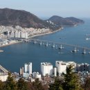 사하구-03 이미지