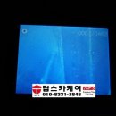 카스타트