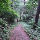 타로카드로 인생의 실마리를 찾다 | 춘천점집 선택 전 필독, 인생의 막막함 해결하는 상담 노하우