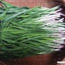 양기농장 이미지