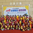 통영 숲속유치원 일간뉴스경남