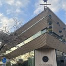 테라스 | 일본 도쿄 벚꽃 여행 명소 나카메구로 스타벅스 리저브 로스터리 테라스 후기