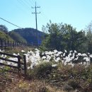 신월운동장 이미지