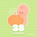 38 이미지