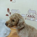 연신중학교 이미지