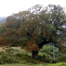 두곡마을 이미지