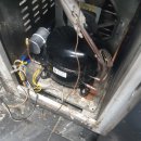 우성수리 이미지