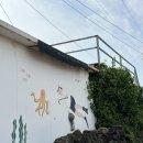 언니네시골집게스트하우스 | [제주] 언니네 시골집 게스트하우스 : 제주도 게스트하우스, 심야식당, 아침산책, 제주 스냅사진