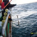 해오름호 이미지