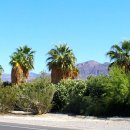 향기로운 염원 이미지