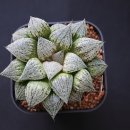 계백농장 이미지