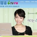 닥터검프 티스토리