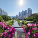 화명경남아파트 네이버블로그