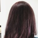 미헤어칼라 이미지