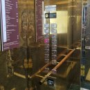 엑스포사우나 이미지