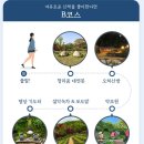 약초산방 | 가평 청리움 예약·입장료·코스 총정리｜무료 비밀정원에서 즐기는 힐링 여행