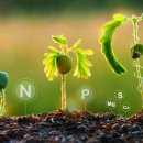 위즈덤 행정사사무소 이미지