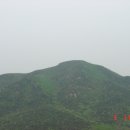호룡곡산산림욕장 티스토리