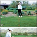 박지은 카카오 검색결과