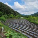 횡천면사무소 이미지