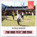 법인알뜨르