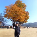 두물머리공원 이미지