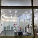 개멋 애견미용 이미지