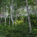 미숭산자연휴양림 이미지