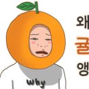피노키오어린이집 이미지