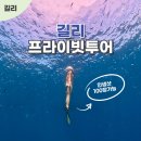 바름라탄 | 길리 프라이빗 스노클링 투어 유키 추천 꿀팁 가격 일정