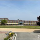 삼죽초교병설유치원 이미지