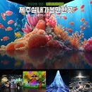 리우인터랙티브 | 제주 실내 가볼만한곳 제주 동쪽 실내 관광지 추천