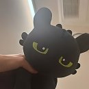 세이메디칼 | 아놔, 나만 몰랐던 효자점 꿀팁 대방출! 왁싱은 역시 정통이죠?!