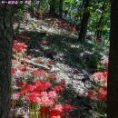 좋은아침 이미지