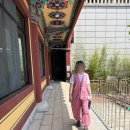 성남 대광사 템플스테이 후기｜부처님오신날 사람들도 바글바글