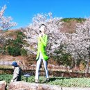 산포마을 이미지