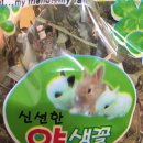 달나라 토끼농장 | [후기]토끼 건초, 간식 달나라 토끼농장/ 토끼세상