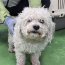 최종주동물병원 이미지