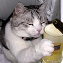 한잔만 더 이미지