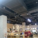 시마 | 광양/ LF스퀘어 회전초밥 맛집 "시마스시" 내돈내산 후기