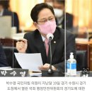 혈세로 동남아 아이돌 육성하자는 문체부... 野 "라면 형제 비극 잊었나" 이미지