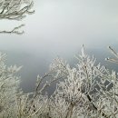 석남사 5호점 이미지